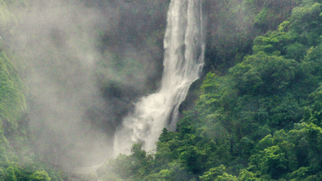 A vertical shot of a tall, thin waterfall plunging down a deep, lush green ravine, shrouded in heavy white mist.