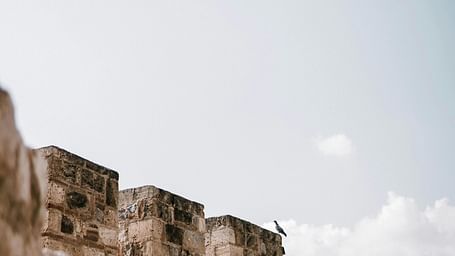 Wall of A Castle 