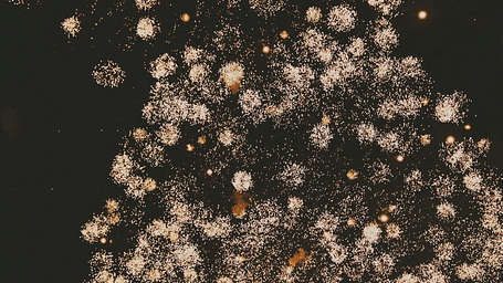 Golden fireworks exploding against a dark sky