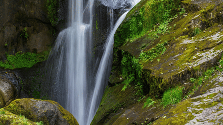 A long-exposure shot of a waterfall cascading down a moss-covered rock face in a lush forest.