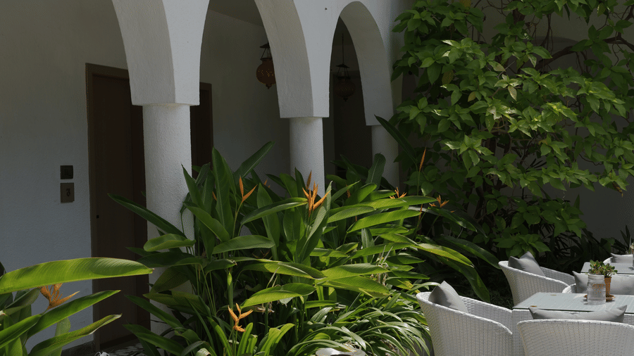 Patio dining tables are set along a walkway defined by arched pillars, lush greenery, a white facade at Bougainvillea, Alibaug.