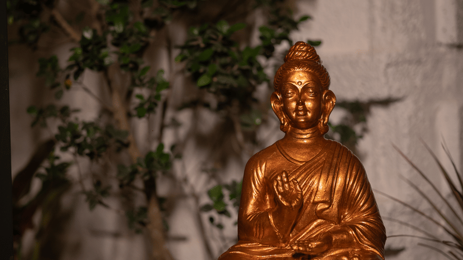 Meditating golden Buddha statue sitting outdoors, surrounded by lush green garden foliage at night.