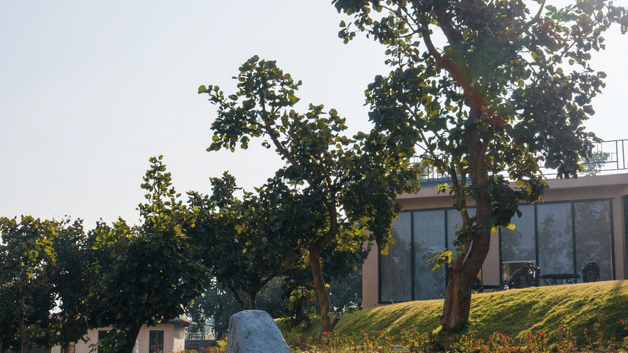 A grassy outdoor space featuring a tall stone head sculpture positioned next to a low stone wall and several trees at Hotel Sonar Bangla, Ajodhya Hills.