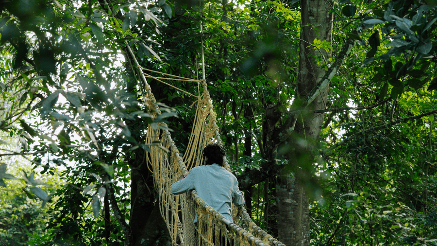 A person wearing a light blue shirt walks across a wooden slat rope bridge with yellow handrails surrounded by dense tree foliage at Kadkani River Resort, Coorg.  