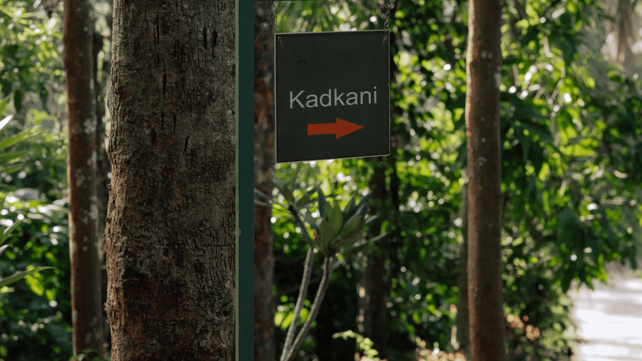 A dark square metal sign attached to a post displaying the text Kadkani with an arrow, set among tree trunks, green leaves, and a paved track at Kadkani River Resort, Coorg.