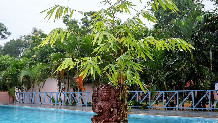 Swimming pool at Mango Hill La Serene, Pondicherry