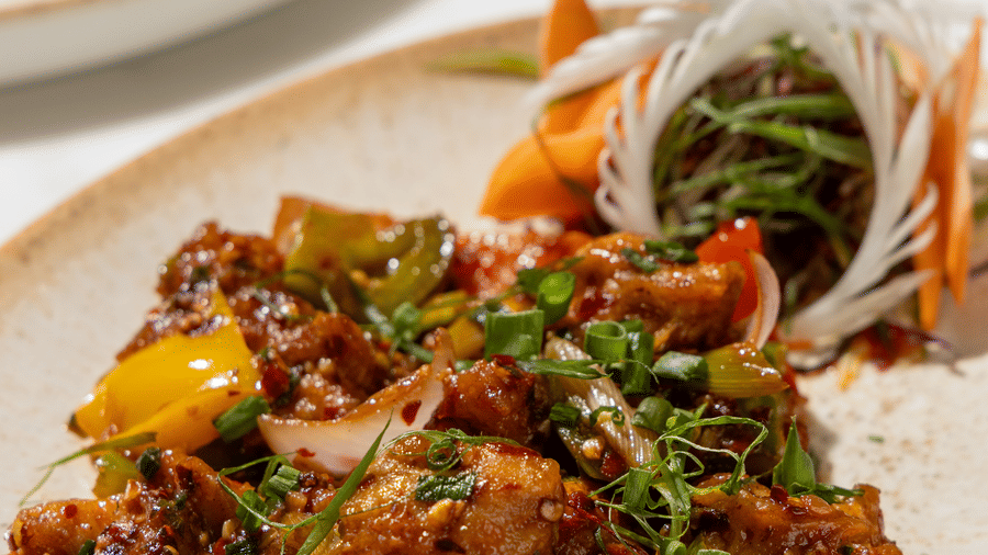 A close-up of 1 beautifully garnished spicy chicken dish served on a white plate at Sands Point Hotel, Pondicherry.