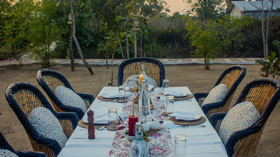 A long dining table set for a group meal outdoors, surrounded by trees under a clear evening sky - Umaria Safari Camp