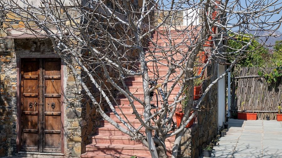 A facade image of a structure made out of stone with a tree in the fore front - Utsav Camp