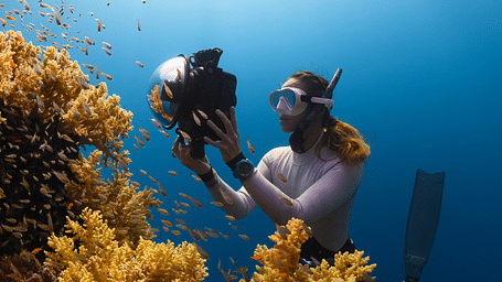 A girl scuba diving and photographing fish underwater