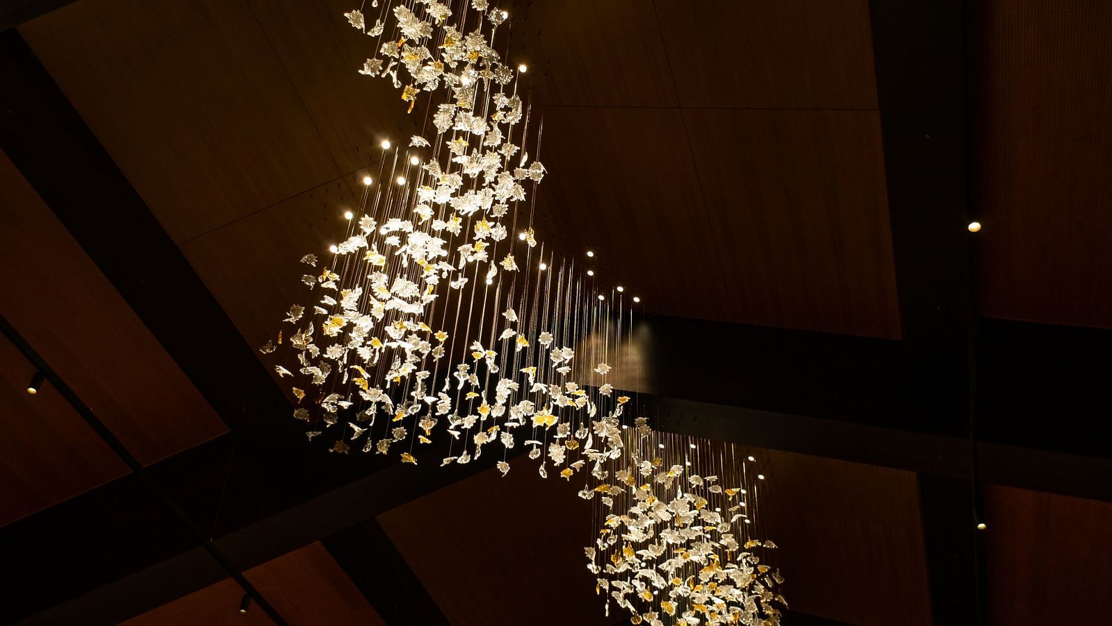Gamyam Retreat, Kumta - The chandelier hanging in our banquet hall