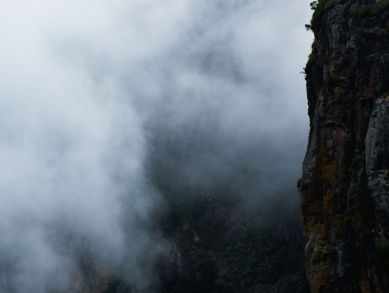 An image of Rock Pillars in Kodaikanal surrounded by mist