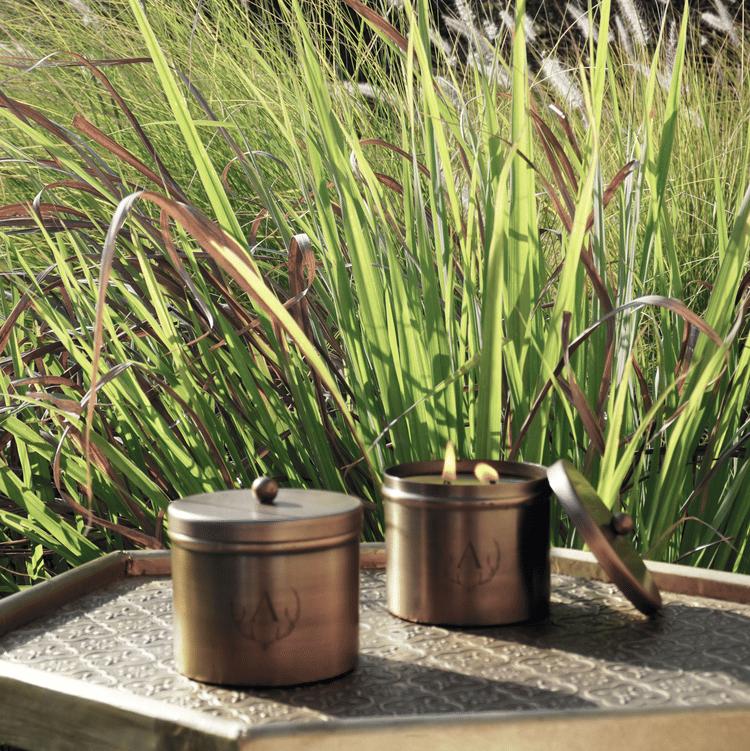Two bronze-coloured storage canisters placed on a tray outdoors, with lush green lemon grass plants swaying in the background and sunlight filtering through the garden.