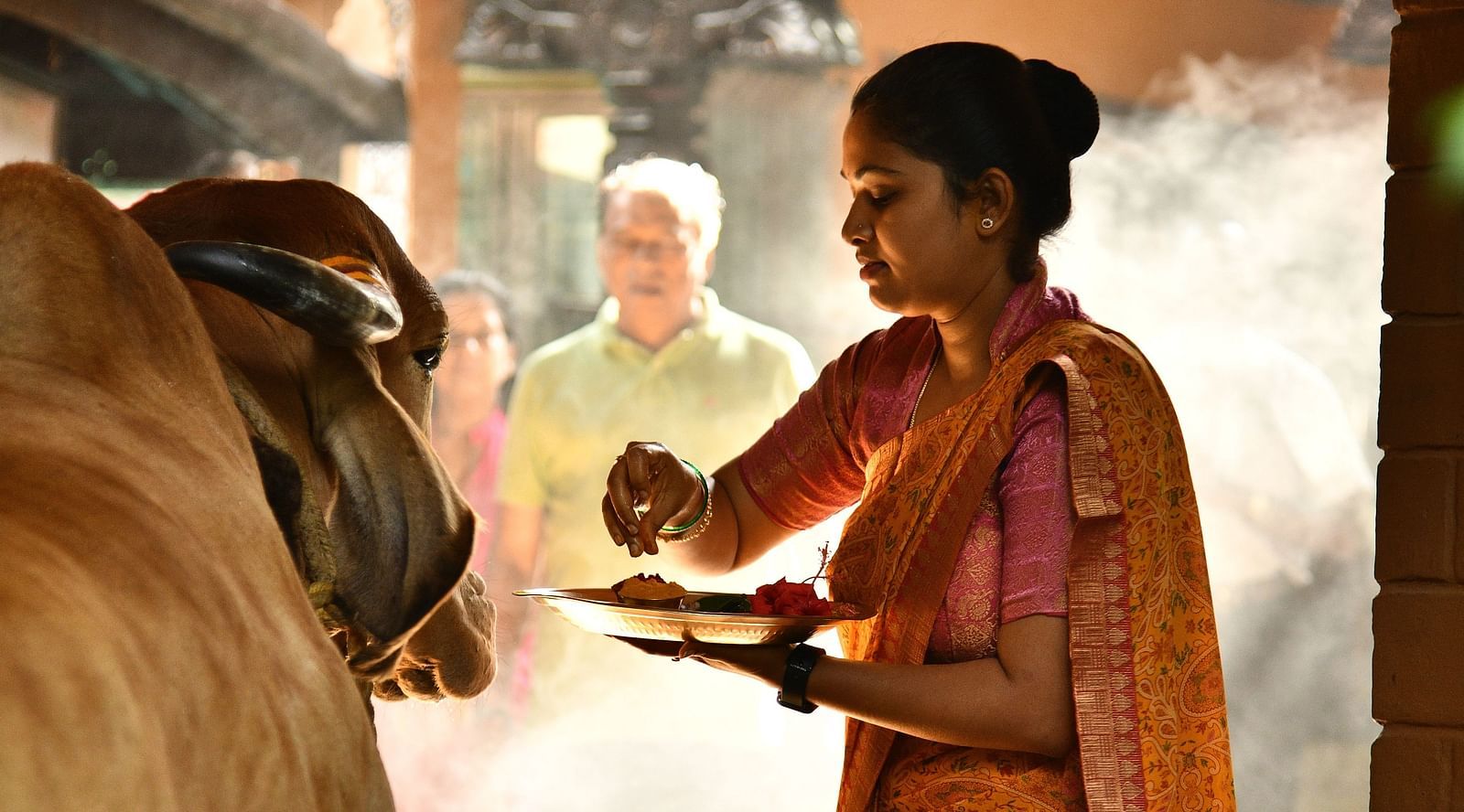 staff worshipping the divine cow at hoysala village resort, hassan