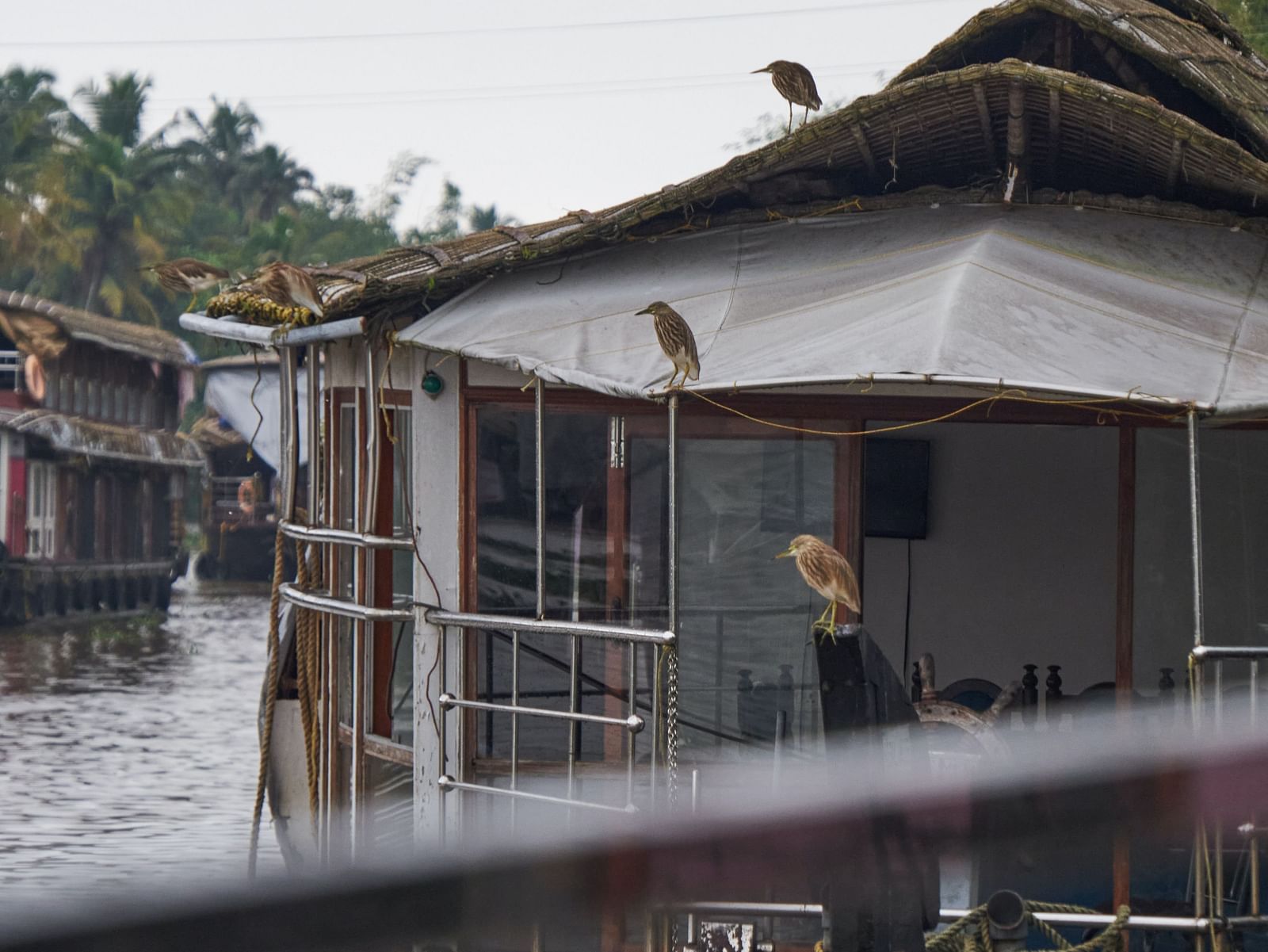 a house boat on the backwaters of alleppey