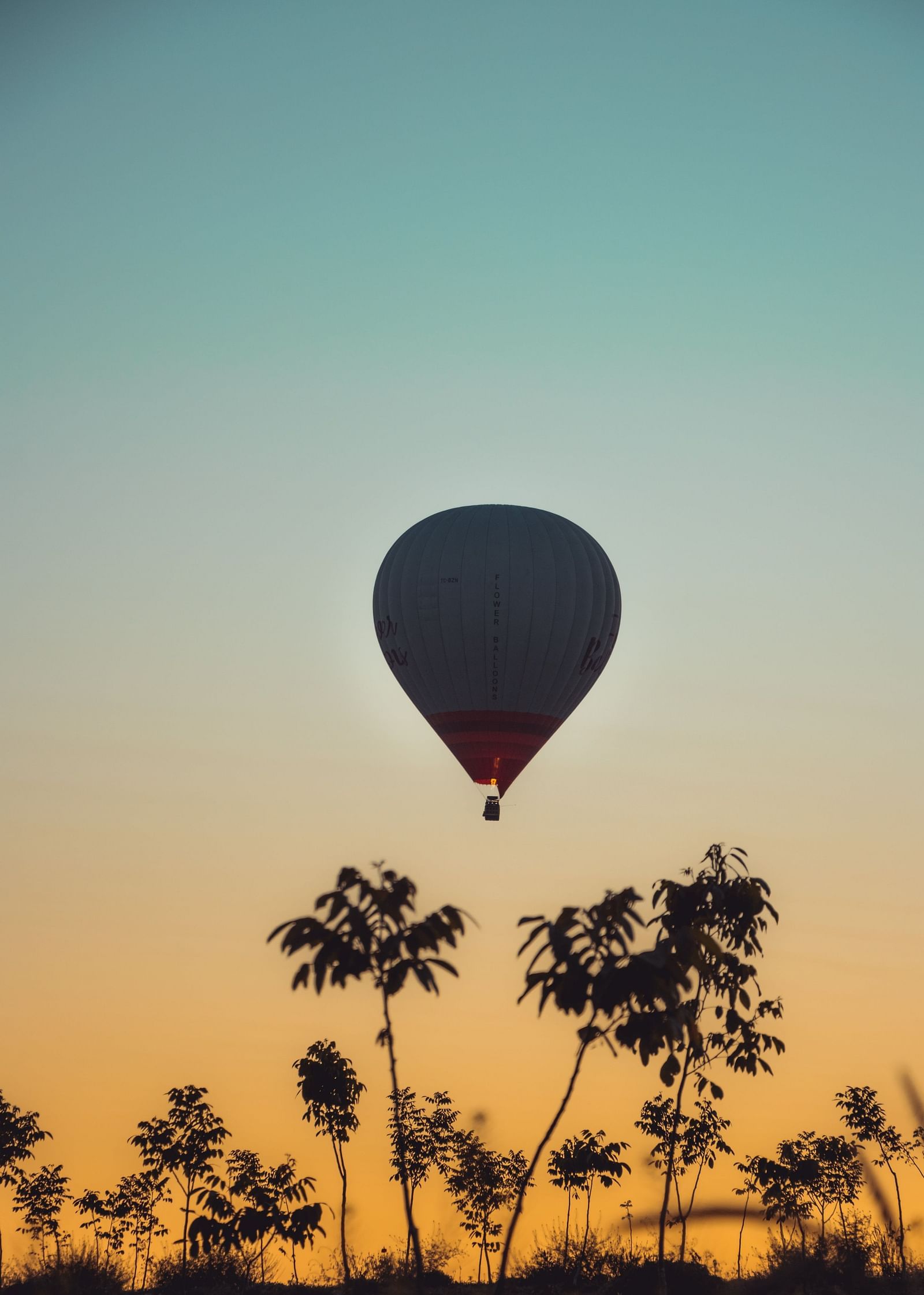 hot air balloon ride at sunset with coconut trees below it