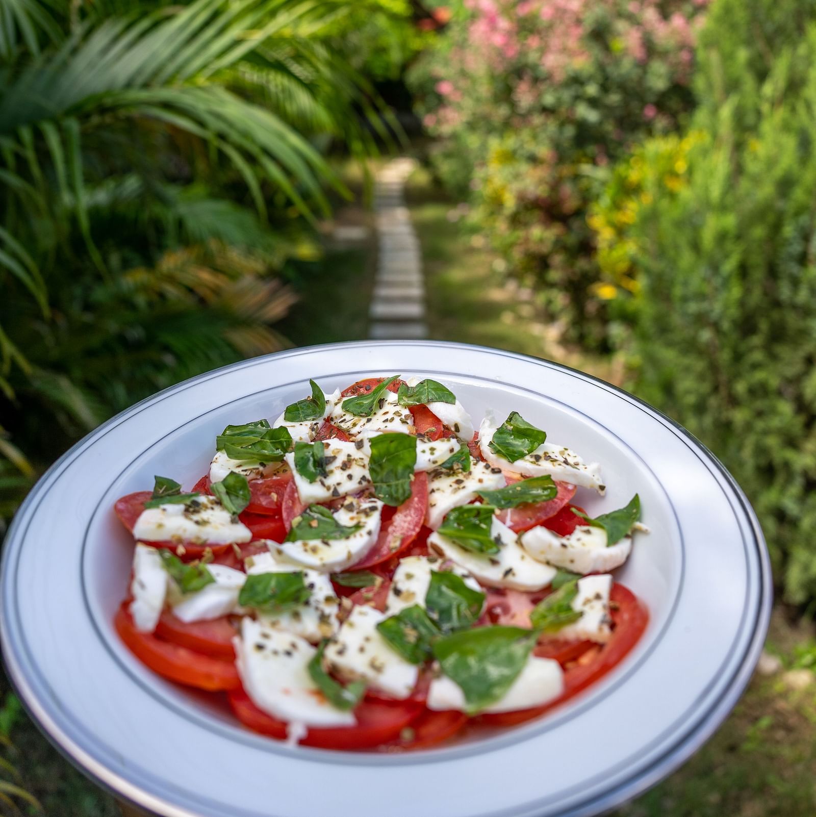 tomatoes and cheese with basil leaves on a plate