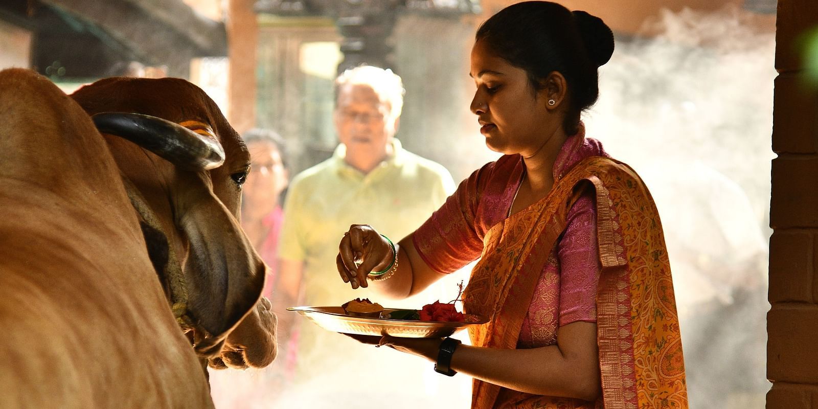 staff worshipping the divine cow at hoysala village resort, hassan