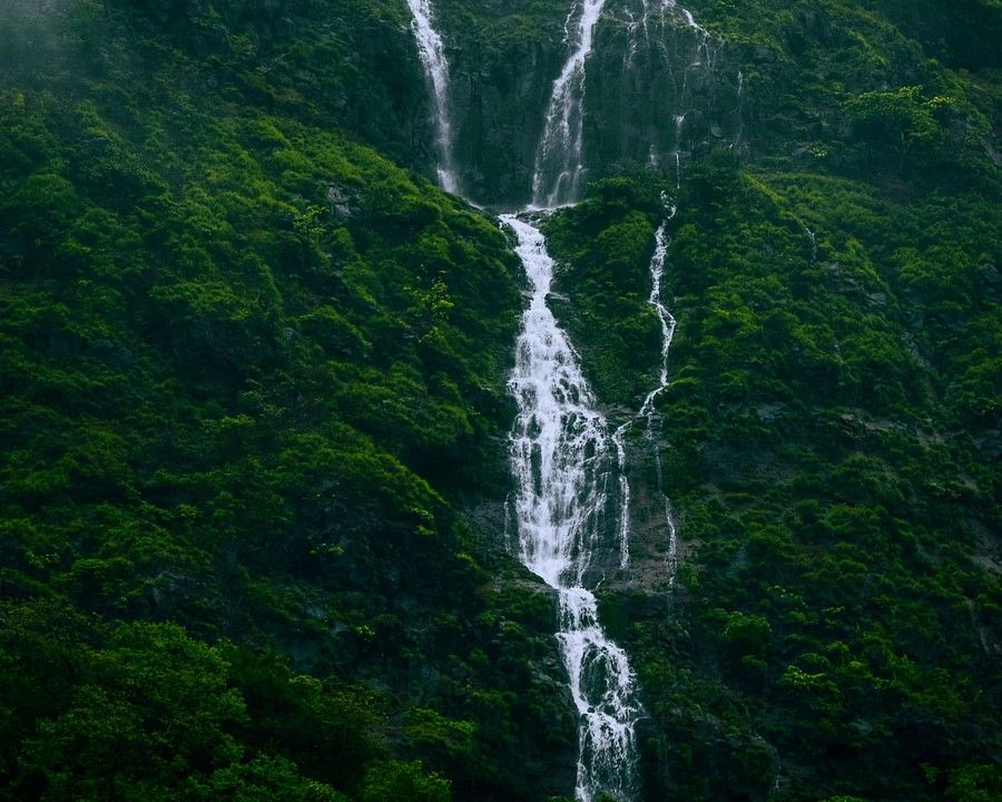 alt-text A cascading waterfall down a lush green cliff, partially shrouded in mist, creating a serene and majestic natural scene.