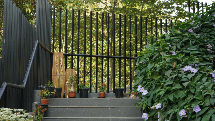 Tiled outdoor steps leading up towards a dark fence, bordered by green plants at Bougainvillea, Alibaug.