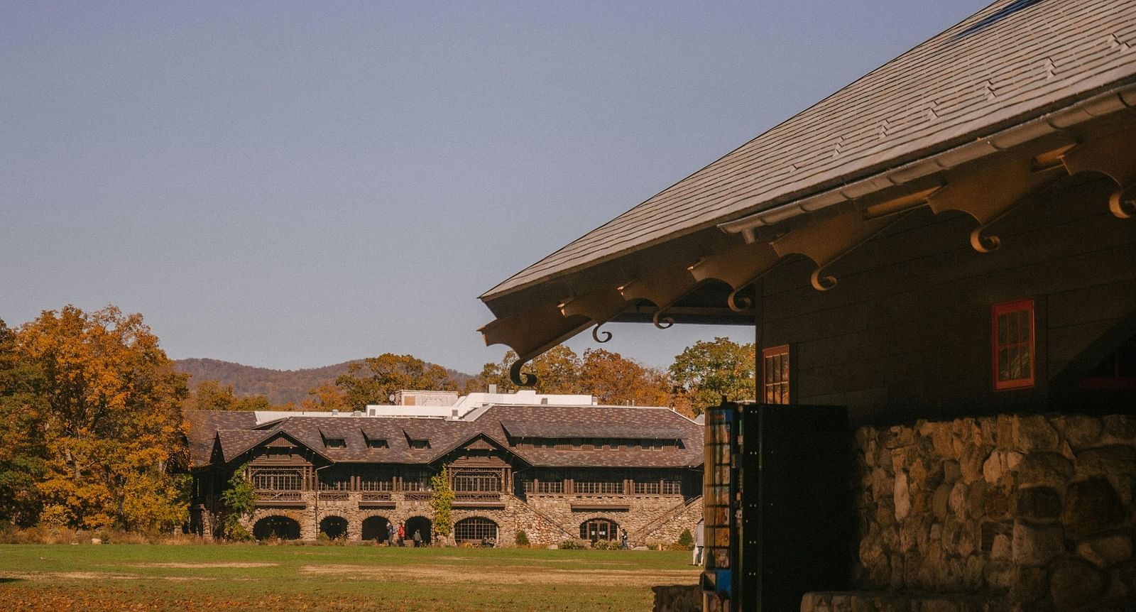 image of a hut in front of a garden with orange flowers scattered all around the lawn