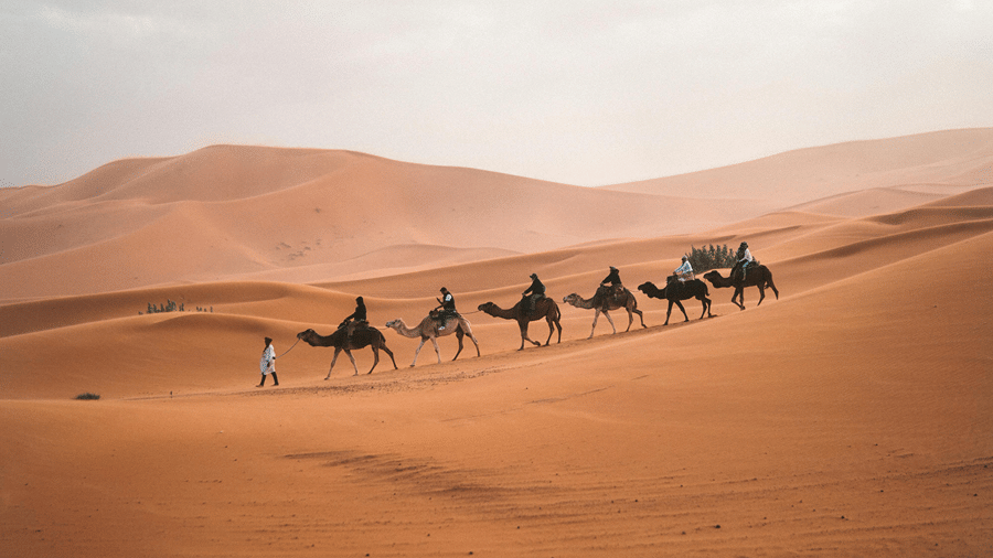 Doha Desert Trip | Doha Safari Tour | La Maison Hotel