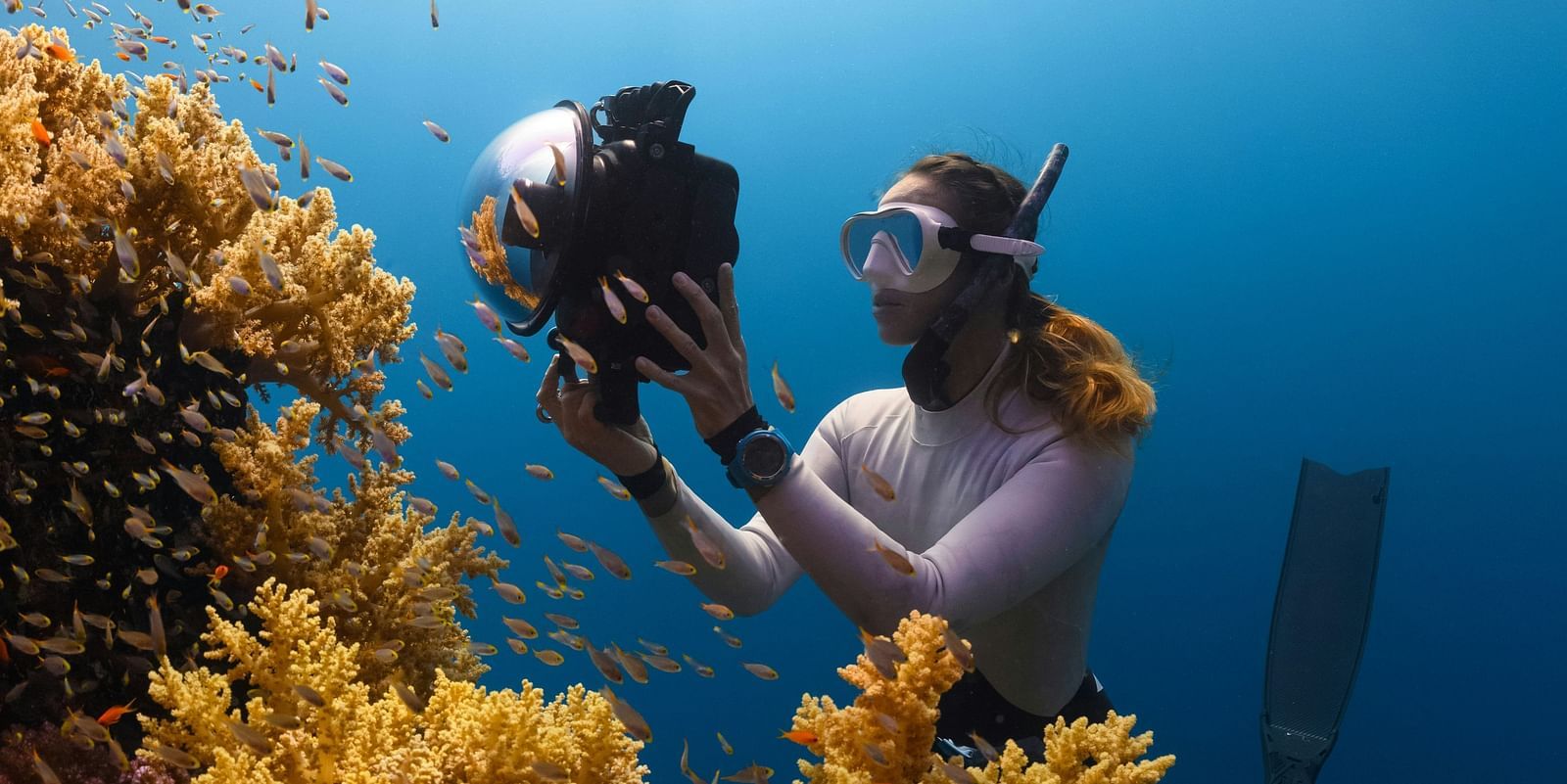 A girl scuba diving and photographing fish underwater