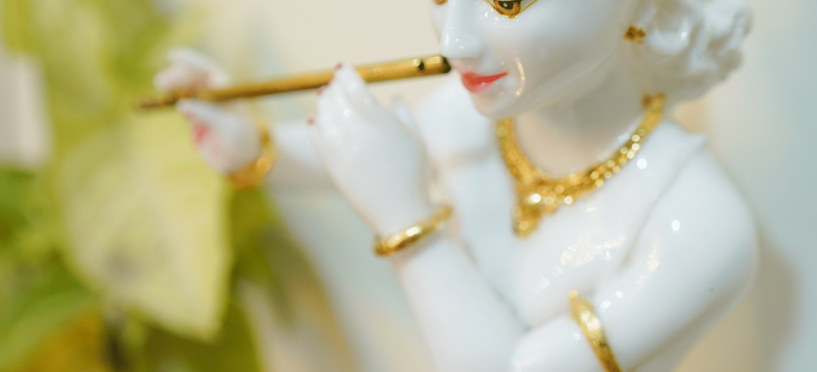 Lime Tree Hotels 32nd Avenue 96