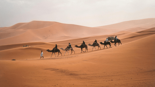 A guide taking people for a camel back ride in the desert on a cloudy day
