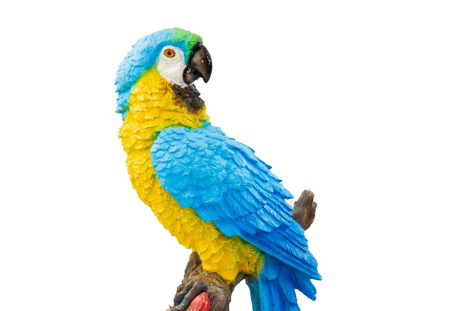 VAI05197-Edit