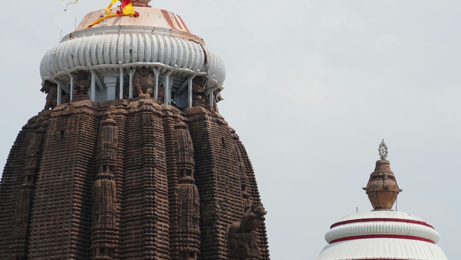 pexels-abhisek-tripathy-467053315-32519960