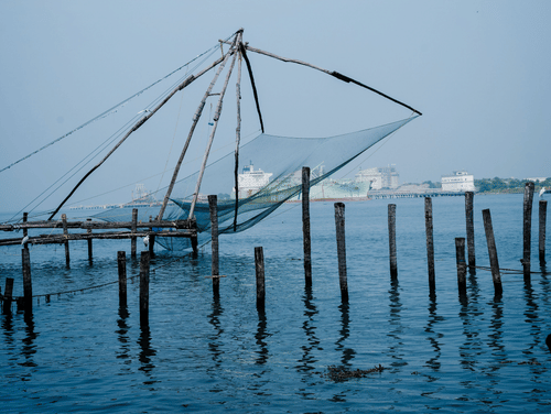 Chinese fishing nets stand over the calm waters, creating a striking waterfront scene beneath a clear blue sky.