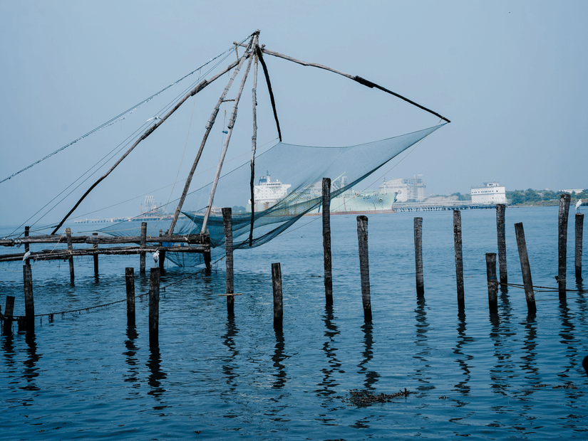 Chinese fishing nets stand over the calm waters, creating a striking waterfront scene beneath a clear blue sky.