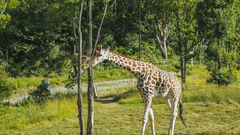 Wildlife sanctuary 1