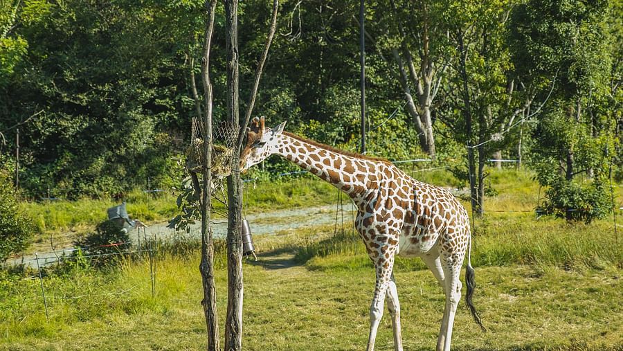 Wildlife sanctuary 1