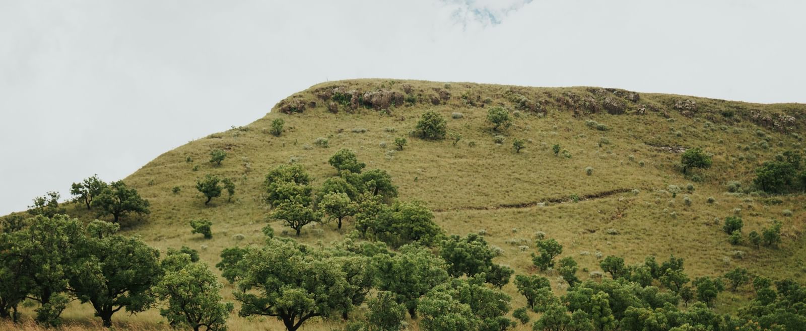 A vertical shot of a person hiking up a large, grassy hill under a cloudy sky.