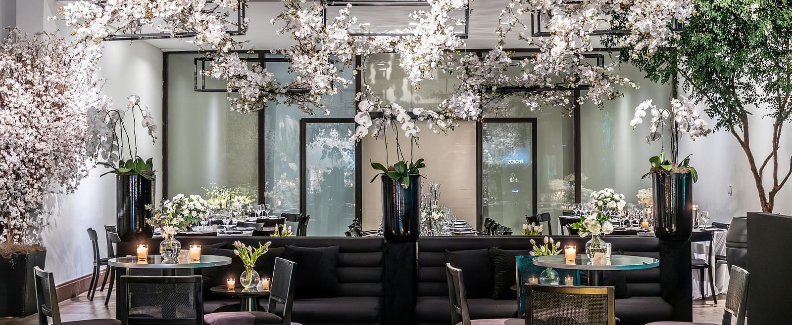 Elegant dining area with dark furniture, decorative white branches, and a glossy wooden floor.