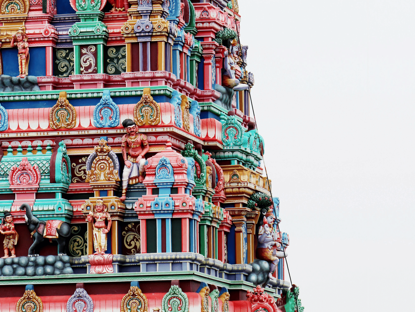 pexels-dropshado-10271157