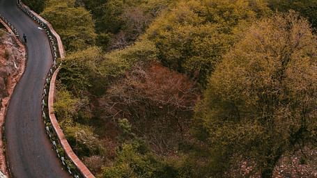 Aerial view of a curved road surrounded by trees.