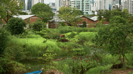 An overview of Benjakitti Park with vegetation amidst a small river and sky rises in the background.