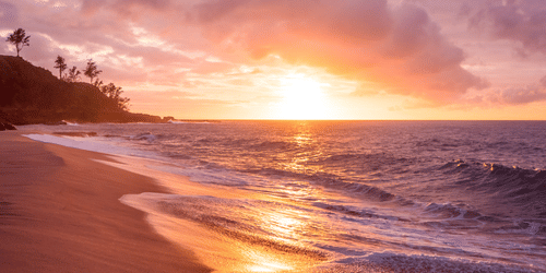 sun setting on the beach