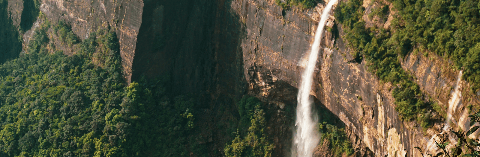 ashwina-kumar-GWVumr18qQc-unsplash