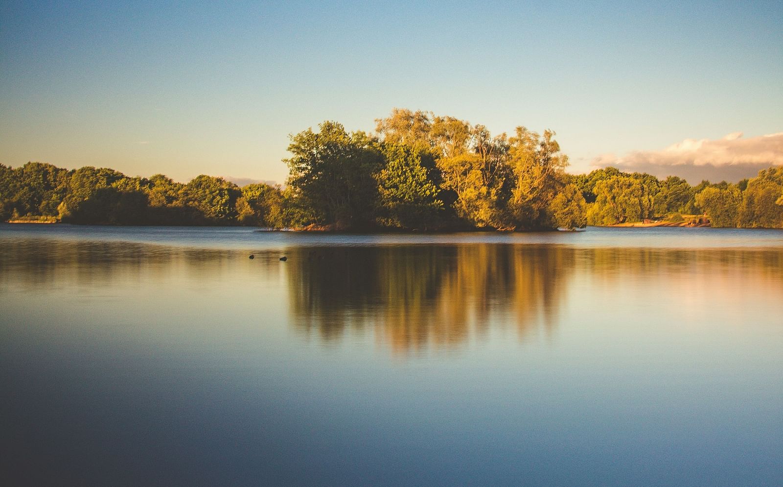 An overview of a lake with trees growing on the lake in the distance.