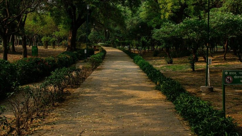 A pathway in a lush green park surrounded by trees and plants with patches of sunlight on the ground