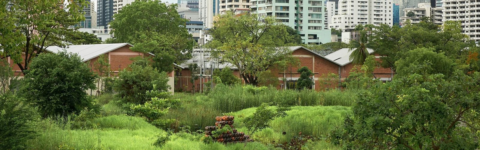 An overview of Benjakitti Park with vegetation amidst a small river.