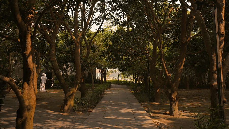 Shaded garden pathway lined with trees, softly lit by warm sunlight at Hotel Sonar Bangla, Mayapur.