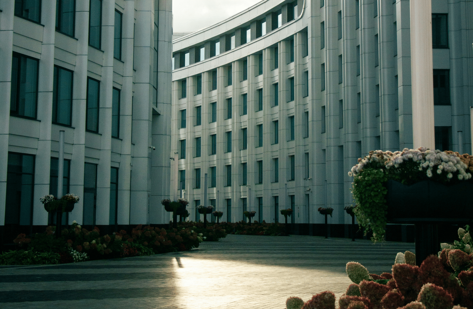 ivan-catus-haZqrmdb7zg-unsplash