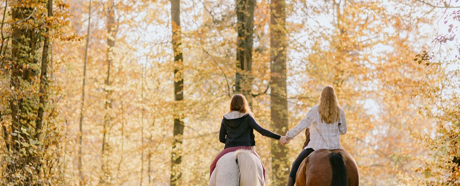 Two women on horse backs travelling through a forest during fall - Brewery Gulch Inn & Spa