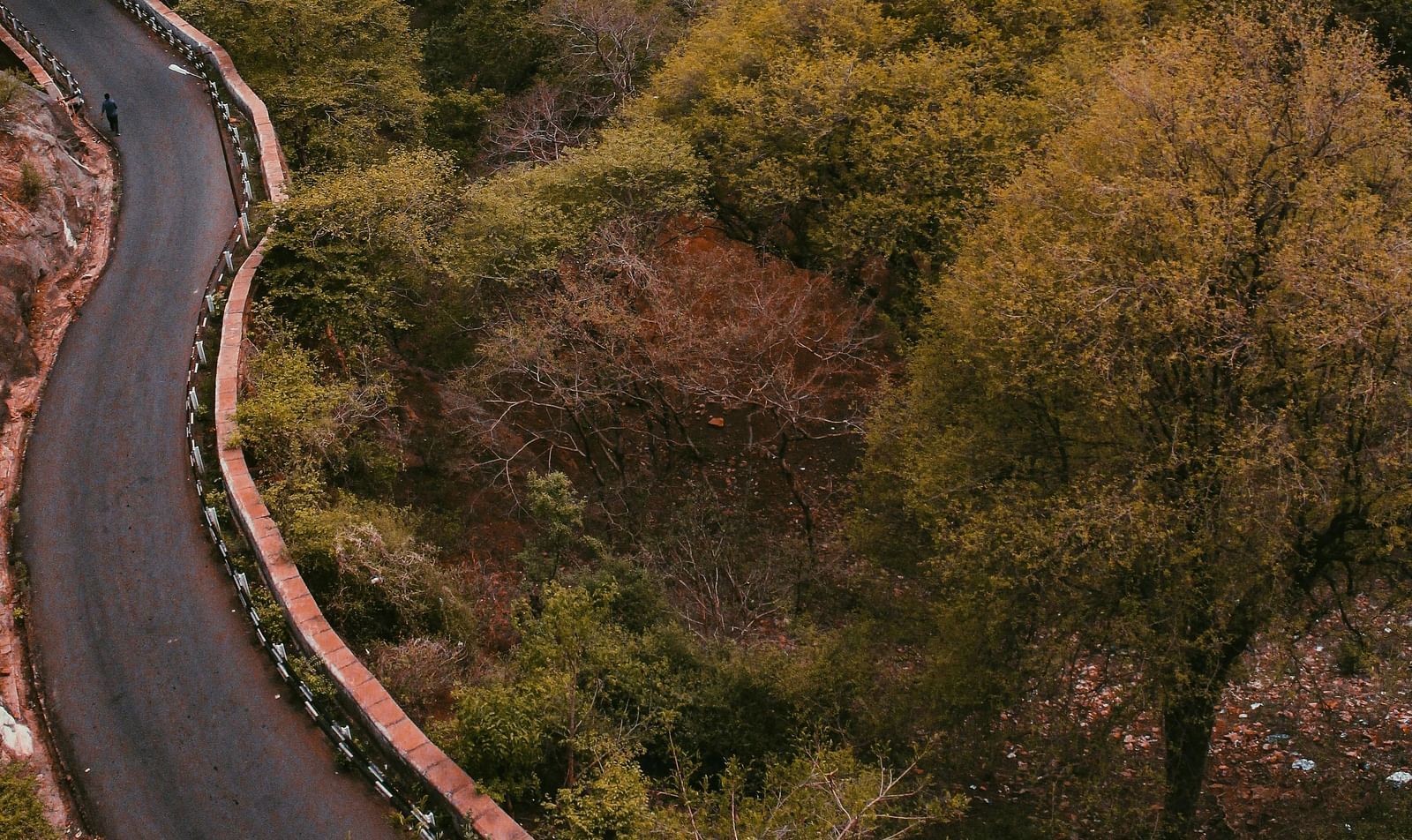 Aerial view of a curved road surrounded by trees.