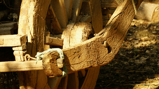 shruti-singh-J7ZcBk7CZc0-unsplash